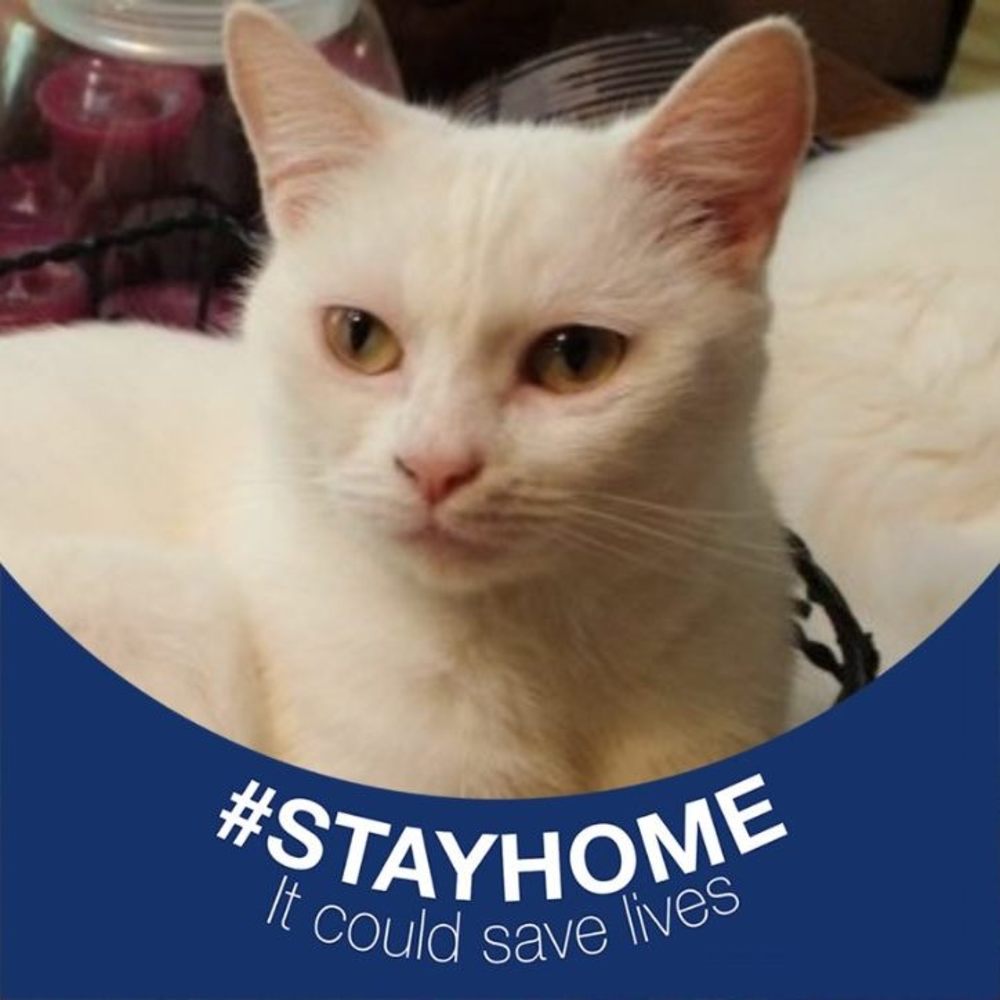 Meet your Posher, Victoria